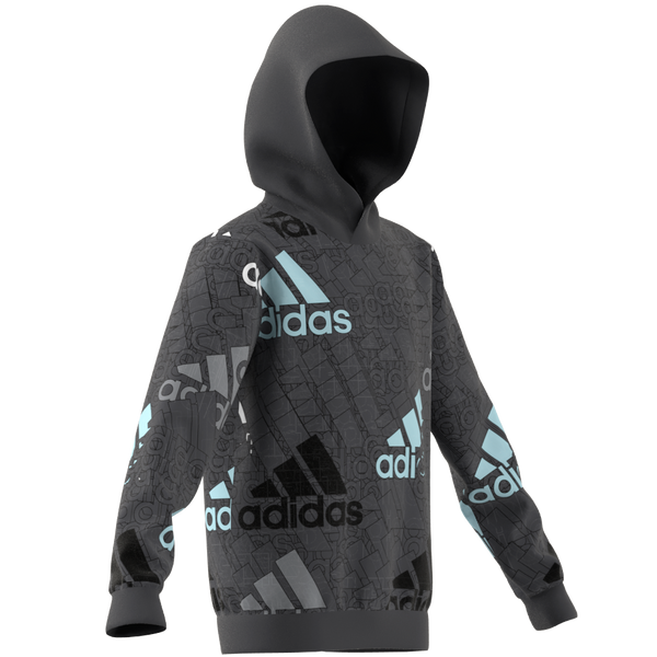 U Bl Logo Sweat