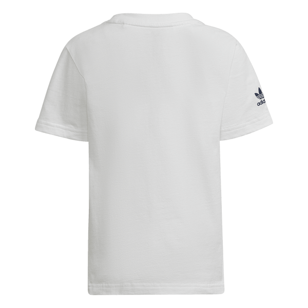 TEE6