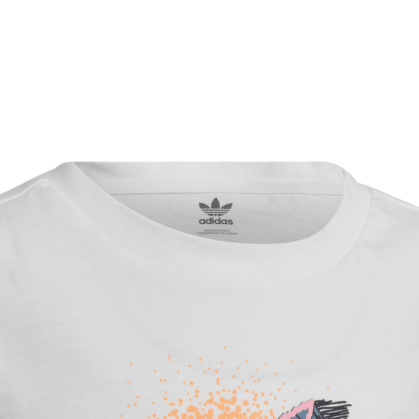TEE6