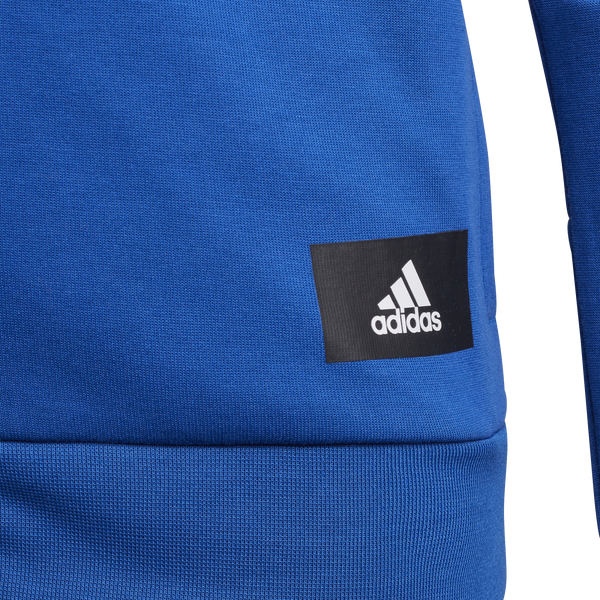 Future Icons 3-Stripes Full-Zip Hoodie