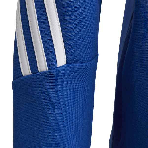 Future Icons 3-Stripes Full-Zip Hoodie